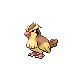 pidgey smogon